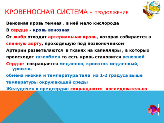 Кровеносная система - продолжение Венозная кровь темная , в ней мало кислорода В сердце – кровь венозная От жабр отходит артериальная кровь , которая собирается в спинную аорту , проходящую под позвоночником Артерии разветвляются в тканях на капилляры , в которых происходит газообмен то есть кровь становится венозной Сердце  сокращается медленно, кровоток медленный, уровень обмена низкий и температура тела на 1-2 градуса выше температуры окружающей среды Желудочек и предсердие сокращаются последовательно