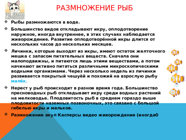 Размножение рыб Рыбы размножаются в воде. Большинство видов откладывают икру, оплодотворение наружное, иногда внутреннее, в этих случаях наблюдается живорождение. Развитие оплодотворённой икры длится от нескольких часов до нескольких месяцев. Личинки, которые выходят из икры, имеют остаток желточного мешка с запасом питательных веществ. Сначала они малоподвижны, и питаются лишь этими веществами, а потом начинают активно питаться различными микроскопическими водными организмами. Через несколько недель из личинки развивается покрытый чешуёй и похожий на взрослую рыбу малёк. Нерест у рыб происходит в разное время года. Большинство пресноводных рыб откладывает икру среди водных растений на мелководье. Плодовитость рыб в среднем гораздо выше плодовитости наземных позвоночных, это связано с большой гибелью икры и мальков. Размножение акул Касперсы видео живорождение (иногда0