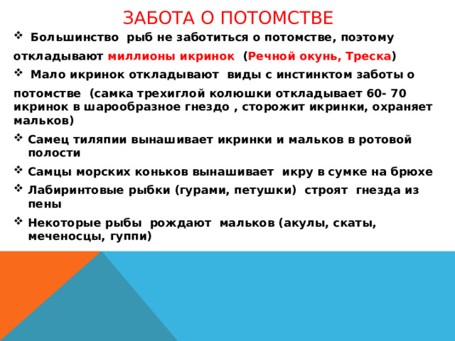 Забота о потомстве Большинство рыб не заботиться о потомстве, поэтому откладывают миллионы икринок ( Речной окунь, Треска ) Мало икринок откладывают виды с инстинктом заботы о потомстве (самка трехиглой колюшки откладывает 60- 70 икринок в шарообразное гнездо , сторожит икринки, охраняет мальков) Самец тиляпии вынашивает икринки и мальков в ротовой полости Самцы морских коньков вынашивает икру в сумке на брюхе Лабиринтовые рыбки (гурами, петушки) строят гнезда из пены Некоторые рыбы рождают мальков (акулы, скаты, меченосцы, гуппи)