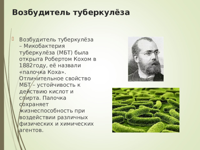 Возбудитель туберкулёза