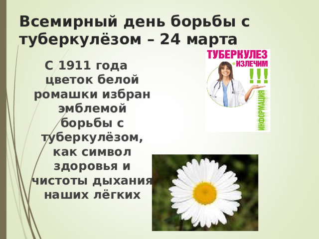 Всемирный день борьбы с туберкулёзом – 24 марта С 1911 года цветок белой ромашки избран эмблемой борьбы с туберкулёзом, как символ здоровья и чистоты дыхания наших лёгких