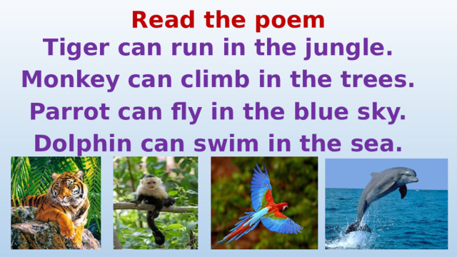 Read the poem Tiger can run in the jungle. Monkey  can climb in the trees. Parrot can fly in the blue sky. Dolphin can swim in the sea.