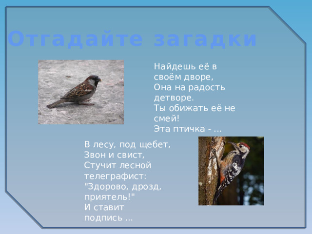 Отгадайте загадки Найдешь её в своём дворе, Она на радость детворе. Ты обижать её не смей! Эта птичка - ... В лесу, под щебет, Звон и свист, Стучит лесной телеграфист: 