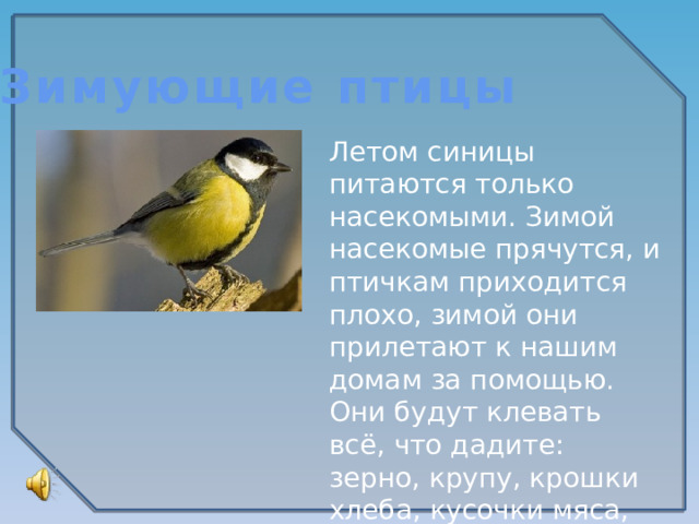 Зимующие птицы Летом синицы питаются только насекомыми. Зимой насекомые прячутся, и птичкам приходится плохо, зимой они прилетают к нашим домам за помощью. Они будут клевать всё, что дадите: зерно, крупу, крошки хлеба, кусочки мяса, несолёного сала.