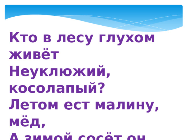 Кто в лесу глухом живёт Неуклюжий, косолапый? Летом ест малину, мёд, А зимой сосёт он лапу?