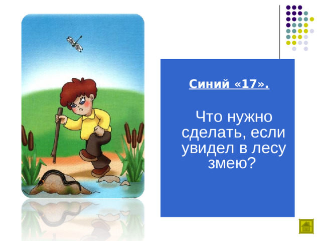 Синий «17».   Что нужно сделать, если увидел в лесу змею?