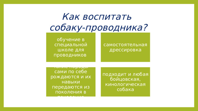 Как воспитать  собаку-проводника? обучение в специальной школе для проводников самостоятельная дрессировка такие породы сами по себе рождаются и их навыки передаются из поколения в поколение подходит и любая бойцовская, кинологическая собака