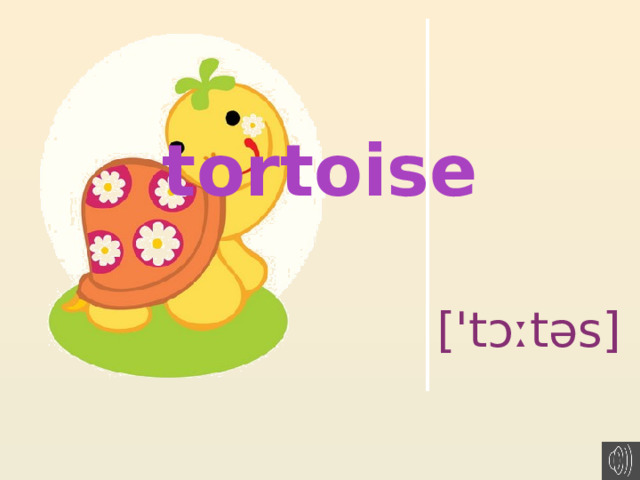 tortoise    ['tɔːtəs]
