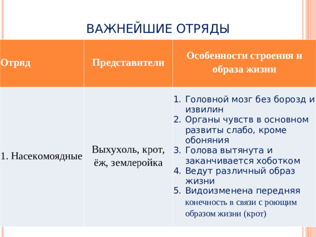 ВАЖНЕЙШИЕ ОТРЯДЫ Отряд Представители 1. Насекомоядные Особенности строения и образа жизни Выхухоль, крот, ёж, землеройка