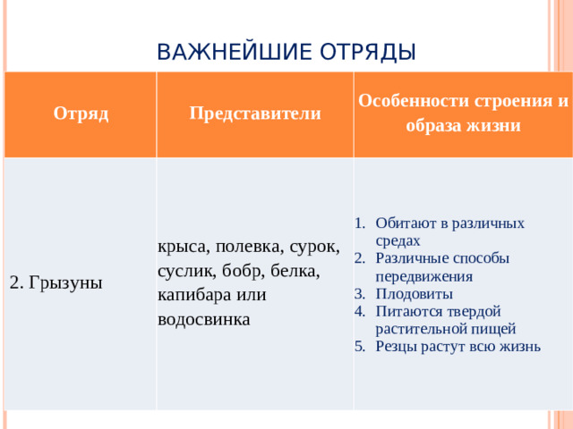 ВАЖНЕЙШИЕ ОТРЯДЫ Отряд Представители  2. Грызуны Особенности строения и образа жизни крыса, полевка, сурок, суслик, бобр, белка, капибара или водосвинка