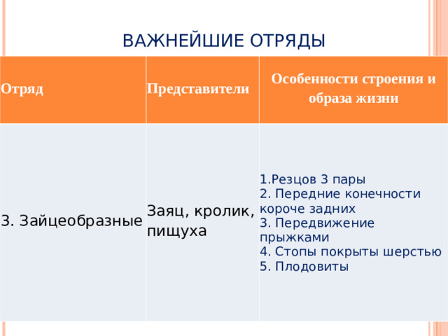 ВАЖНЕЙШИЕ ОТРЯДЫ Отряд Представители 3. Зайцеобразные Особенности строения и образа жизни Заяц, кролик, пищуха 1.Резцов 3 пары 2. Передние конечности короче задних 3. Передвижение прыжками 4. Стопы покрыты шерстью 5. Плодовиты