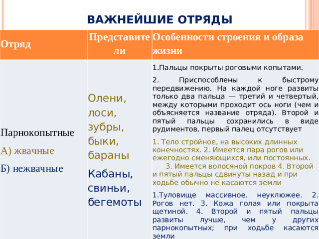 ВАЖНЕЙШИЕ ОТРЯДЫ Отряд Представители Парнокопытные Особенности строения и образа жизни А) жвачные Олени, лоси, зубры, быки, бараны Б) нежвачные Кабаны, свиньи, бегемоты 1.Пальцы  покрыты роговыми копытами. 2. Приспособлены к быстрому передвижению. На каждой ноге развиты только два пальца — третий и четвертый, между которыми проходит ось ноги (чем и объясняется название отряда). Второй и пятый пальцы сохранились в виде рудиментов, первый палец отсутствует 1. Тело стройное, на высоких длинных конечностях. 2. Имеется пара рогов или ежегодно сменяющихся, или постоянных. 3. Имеется волосяной покров 4. Второй и пятый пальцы сдвинуты назад и при ходьбе обычно не касаются земли 1.Туловище массивное, неуклюжее. 2. Рогов нет. 3. Кожа голая или покрыта щетиной. 4. Второй и пятый пальцы развиты лучше, чем у других парнокопытных; при ходьбе касаются земли