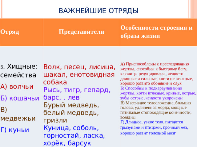 ВАЖНЕЙШИЕ ОТРЯДЫ Отряд 5 . Хищные: семейства Представители А) волчьи Особенности строения и образа жизни Б) кошачьи Волк, песец, лисица, шакал, енотовидная собака А) Приспособлены к преследованию жертвы, способны к быстрому бегу, ключицы редуцированы, челюсти длинные и сильные, когти не втяжные, хорошо развито обоняние и слух В) медвежьи Рысь, тигр, гепард, барс, , лев Б) Способны к подкарауливанию жертвы, когти втяжные, кривые, острые, зубы острые, челюсти укорочены Г) куньи Бурый медведь, белый медведь, гризли В) Массивное телосложение, большая голова, удлиненная морда, мощные пятипалые стопоходящие конечности, всеядны Куница, соболь, горностай, ласка, хорёк, барсук Г) Длинное, узкое тело, питаются грызунами и птицами, прочный мез, хорошо развит головной мозг