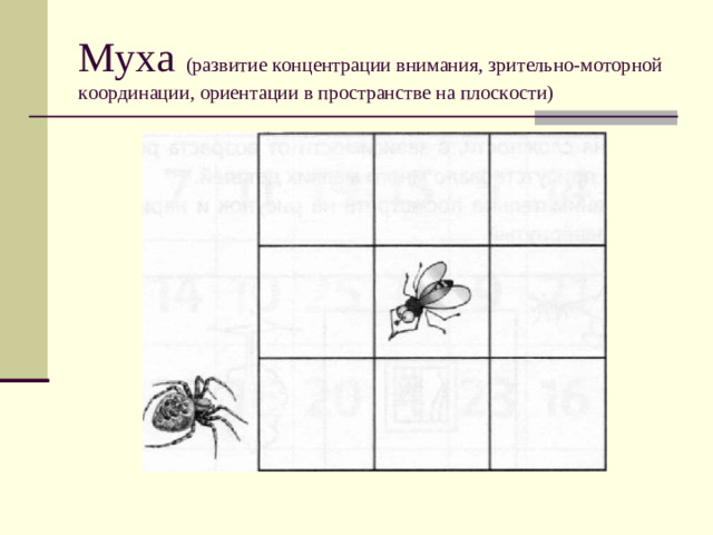 Муха (развитие концентрации внимания, зрительно-моторной  координации, ориентации в пространстве на плоскости)