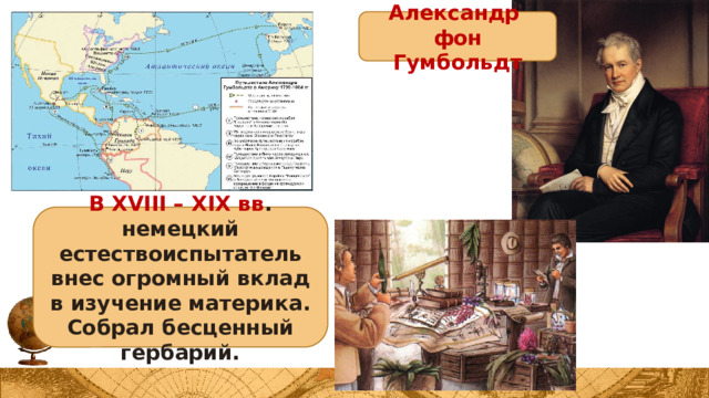 Александр фон Гумбольдт В XVIII – XIX вв . немецкий естествоиспытатель внес огромный вклад в изучение материка. Собрал бесценный гербарий.