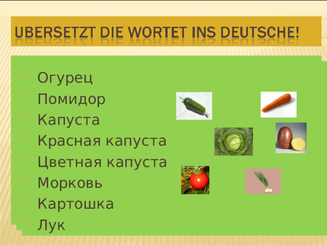 Огурец Помидор Капуста Красная капуста Цветная капуста Морковь Картошка Лук  Огурец Помидор Капуста Красная капуста Цветная капуста Морковь Картошка Лук  Огурец Помидор Капуста Красная капуста Цветная капуста Морковь Картошка Лук