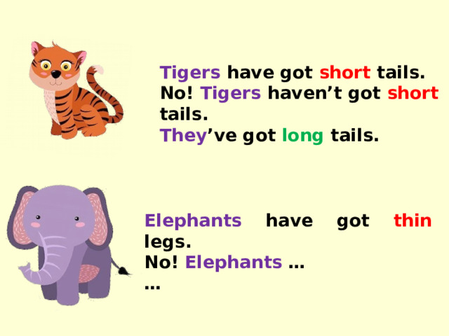 Tigers have got short tails. No! Tigers haven’t got short tails. They ’ve got long tails. Elephants have got thin legs. No! Elephants … …