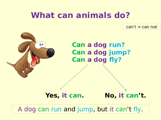 What can animals do? can’t = can not Can  a dog run? Can  a dog jump? Can  a dog fly? Yes, it  can . No, it  can ’t. A dog can  run and jump , but it  can ’t fly .