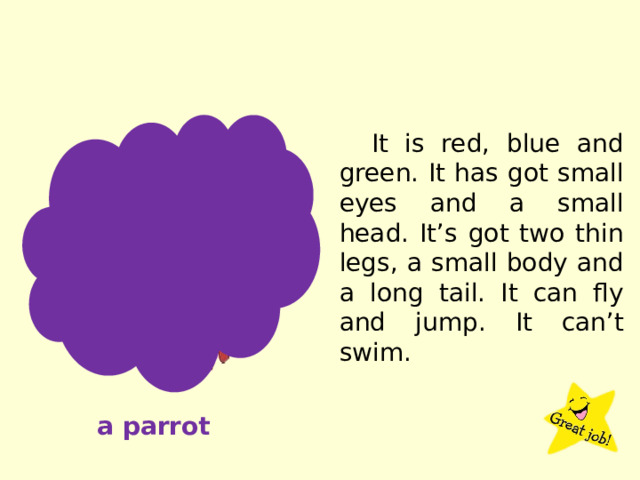 It is red, blue and green. It has got small eyes and a small head. It’s got two thin legs, a small body and a long tail. It can fly and jump. It can’t swim. a parrot