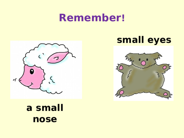 Remember ! small eyes a small nose