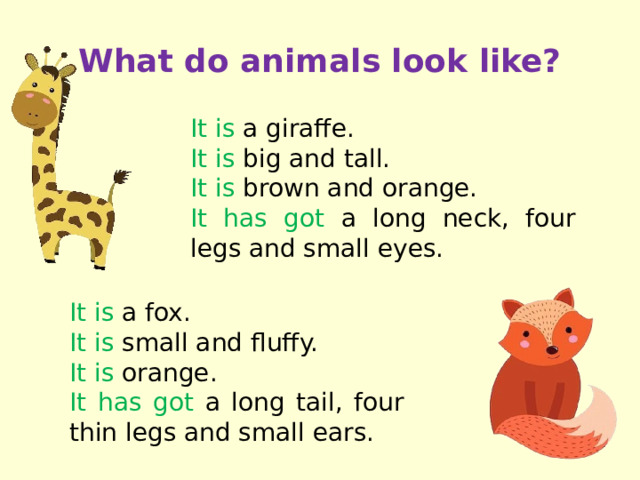 What do animals look like? It is a giraffe. It is big and tall. It is brown and orange. It has got a long neck, four legs and small eyes. It is a fox. It is small and fluffy. It is orange. It has got a long tail, four thin legs and small ears.