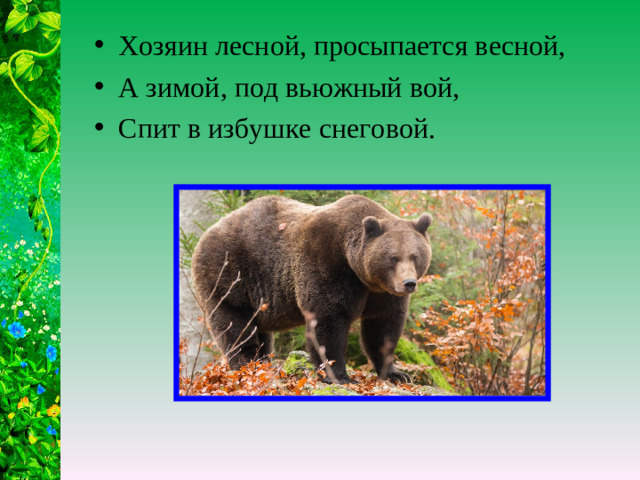 Хозяин лесной, просыпается весной, А зимой, под вьюжный вой, Спит в избушке снеговой.