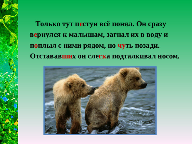 Только тут п е стун всё понял. Он сразу в е рнулся к малышам, загнал их в воду и п о плыл с ними рядом, но чу ть позади. Отставав ши х он сле гк а подталкивал носом.