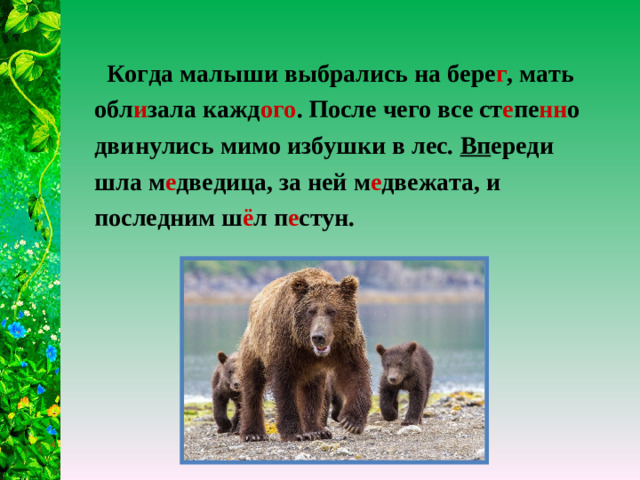 Когда малыши выбрались на бере г , мать обл и зала кажд ого . После чего все ст е пе нн о двинулись мимо избушки в лес. Вп ереди шла м е дведица, за ней м е двежата, и последним ш ё л п е стун.