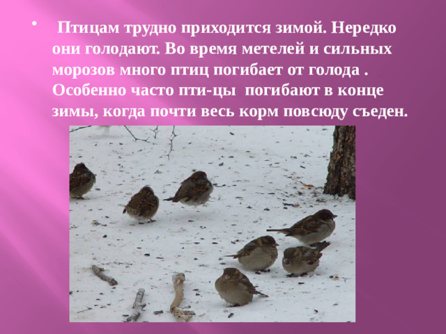 Птицам трудно приходится зимой. Нередко они голодают. Во время метелей и сильных морозов много птиц погибает от голода . Особенно часто пти-цы погибают в конце зимы, когда почти весь корм повсюду съеден.