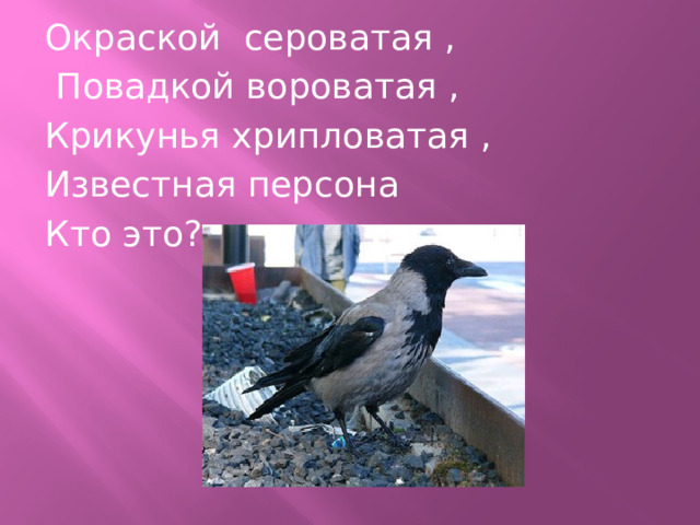 Окраской сероватая ,  Повадкой вороватая , Крикунья хрипловатая , Известная персона Кто это?