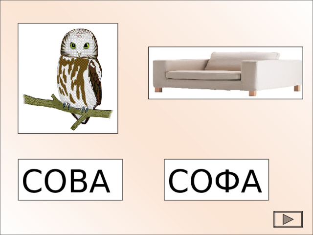 СОВА СОФА