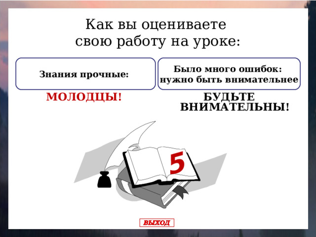 5 Как вы оцениваете свою работу на уроке: Было много ошибок: нужно быть внимательнее Знания прочные: БУДЬТЕ ВНИМАТЕЛЬНЫ! МОЛОДЦЫ!