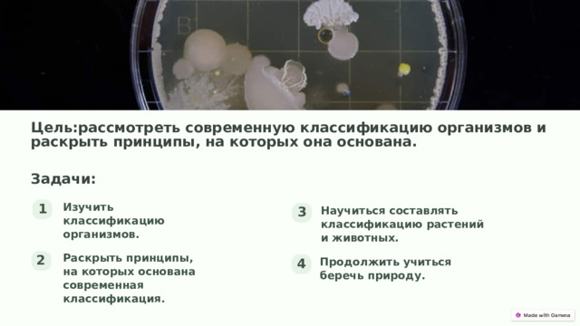 Цель:рассмотреть современную классификацию организмов и раскрыть принципы, на которых она основана. Задачи: Изучить классификацию организмов. 1 Научиться составлять классификацию растений и животных. 3 Раскрыть принципы, на которых основана современная классификация. 2 Продолжить учиться беречь природу. 4