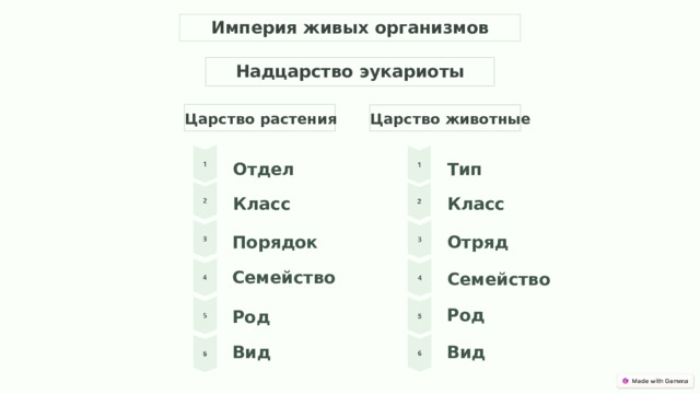 Империя живых организмов Надцарство эукариоты Царство растения Царство животные Тип Отдел Класс Класс Отряд Порядок Семейство Семейство Род Род Вид Вид