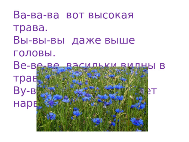 Ва-ва-ва вот высокая трава.  Вы-вы-вы даже выше головы.  Ве-ве-ве васильки видны в траве.  Ву-ву-ву васильков букет нарву.