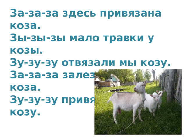 За-за-за здесь привязана коза.  Зы-зы-зы мало травки у козы.  Зу-зу-зу отвязали мы козу.  За-за-за залезает в сад коза.  Зу-зу-зу привязали мы козу.