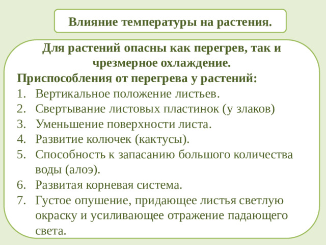 Влияние температуры на растения. Для растений опасны как перегрев, так и чрезмерное охлаждение. Приспособления от перегрева у растений: Вертикальное положение листьев. Свертывание листовых пластинок (у злаков) Уменьшение поверхности листа. Развитие колючек (кактусы). Способность к запасанию большого количества воды (алоэ). Развитая корневая система. Густое опушение, придающее листья светлую окраску и усиливающее отражение падающего света.