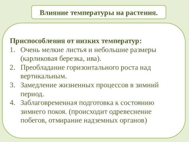 Влияние температуры на растения. Приспособления от низких температур: Очень мелкие листья и небольшие размеры (карликовая березка, ива). Преобладание горизонтального роста над вертикальным. Замедление жизненных процессов в зимний период. Заблаговременная подготовка к состоянию зимнего покоя. (происходит одревеснение побегов, отмирание надземных органов)