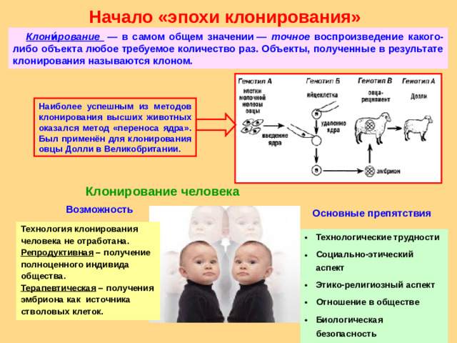 Начало «эпохи клонирования»  Клони́рование   — в самом общем значении — точное воспроизведение какого-либо объекта любое требуемое количество раз. Объекты, полученные в результате клонирования называются клоном. Наиболее успешным из методов клонирования высших животных оказался метод «переноса ядра». Был применён для клонирования овцы Долли в Великобритании.  Клонирование человека  Возможность Основные препятствия Технология клонирования человека не отработана. Репродуктивная – получение полноценного индивида общества. Терапевтическая – получения эмбриона как источника стволовых клеток. Технологические трудности Социально-этический аспект Этико-религиозный аспект Отношение в обществе Биологическая безопасность