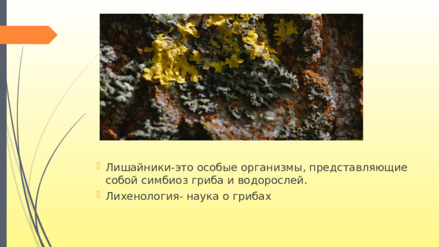 Лишайники-это особые организмы, представляющие собой симбиоз гриба и водорослей. Лихенология- наука о грибах