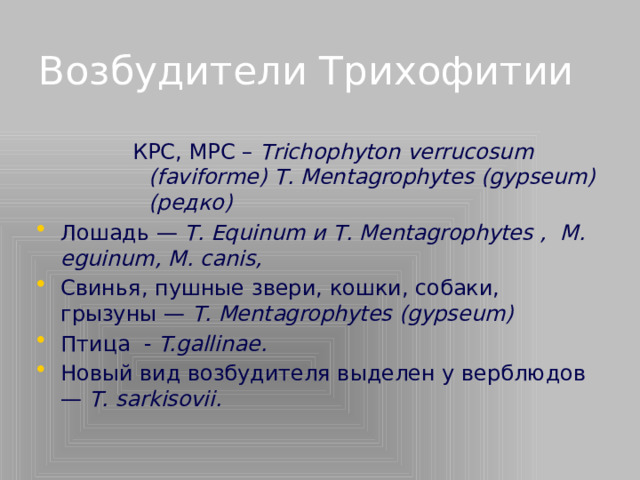 Возбудители Трихофитии КРС, МРС – Тrichophyton verrucosum (faviforme) Т. Mentagrophytes (gypseum)(редко)