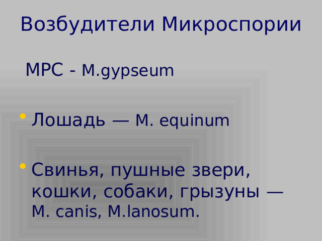 Возбудители Микроспории    МРС - M.gypseum  Лошадь — М. equinum