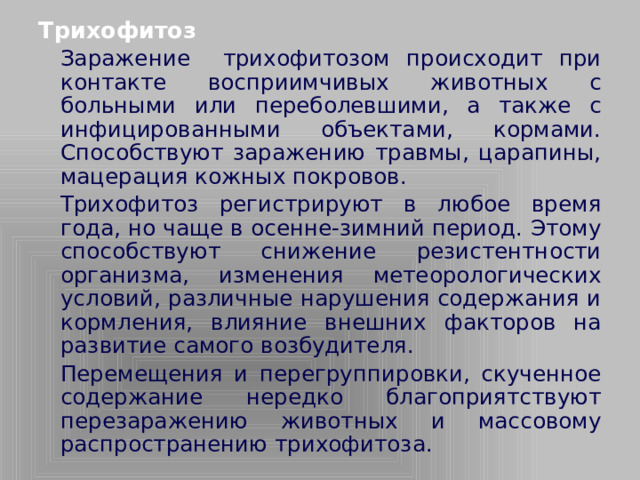 Трихофитоз   Заражение трихофитозом происходит при контакте восприимчивых животных с больными или переболевшими, а также с инфицированными объектами, кормами. Способствуют заражению травмы, царапины, мацерация кожных покровов.   Трихофитоз регистрируют в любое время года, но чаще в осенне-зимний период. Этому способствуют снижение резистентности организма, изменения метеорологических условий, различные нарушения содержания и кормления, влияние внешних факторов на развитие самого возбудителя.   Перемещения и перегруппировки, скученное содержание нередко благоприятствуют перезаражению животных и массовому распространению трихофитоза.