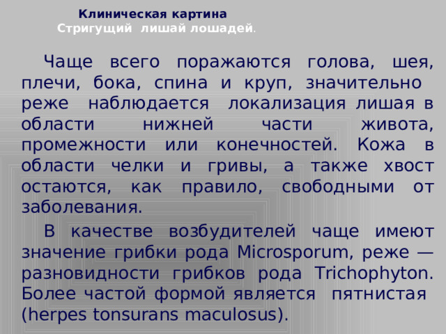 Клиническая картина   Стригущий лишай лошадей .     Чаще всего поражаются голова, шея, плечи, бока, спина и круп, значительно реже наблюдается локализация лишая в области нижней части живота, промежности или конечностей. Кожа в области челки и гривы, а также хвост остаются, как правило, свободными от заболевания.   В качестве возбудителей чаще имеют значение грибки рода Мicrosporum, реже — разновидности грибков рода Тrichophyton. Более частой формой является пятнистая (herpes tonsurans maculosus).