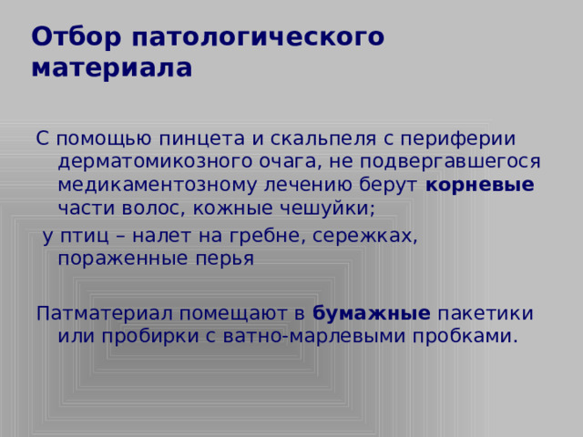 Отбор патологического материала С помощью пинцета и скальпеля с периферии дерматомикозного очага, не подвергавшегося медикаментозному лечению берут корневые части волос, кожные чешуйки;  у птиц – налет на гребне, сережках, пораженные перья Патматериал помещают в бумажные пакетики или пробирки с ватно-марлевыми пробками.