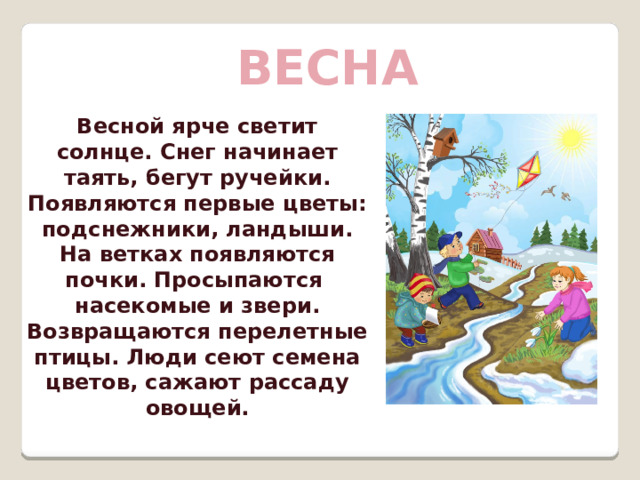 весна Весной ярче светит солнце. Снег начинает таять, бегут ручейки. Появляются первые цветы: подснежники, ландыши. На ветках появляются почки. Просыпаются насекомые и звери. Возвращаются перелетные птицы. Люди сеют семена цветов, сажают рассаду овощей.