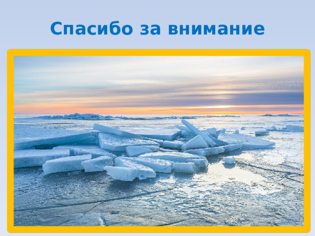 Спасибо за внимание