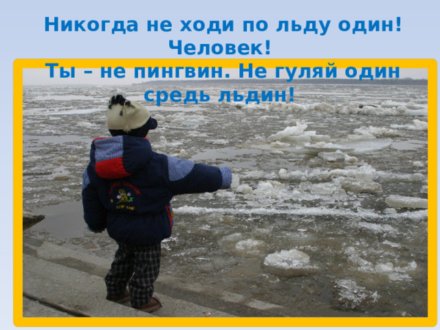 Никогда не ходи по льду один! Человек! Ты – не пингвин. Не гуляй один средь льдин! 
