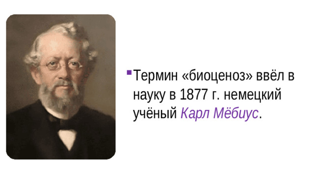 Термин «биоценоз» ввёл в науку в 1877 г. немецкий учёный Карл Мёбиус .