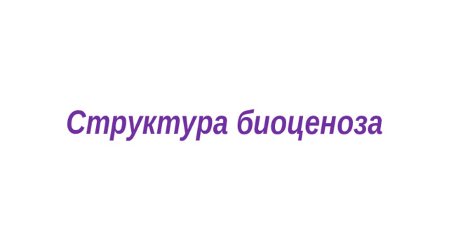 Структура биоценоза